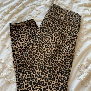 Leopard Print Jeggings